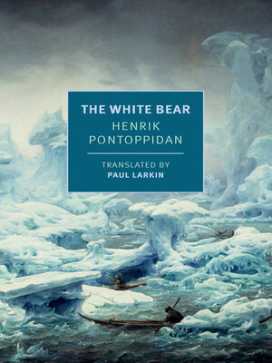 cover image of The White Bear